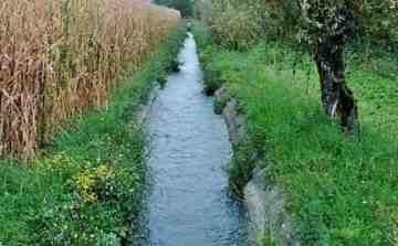 Ordinanza ripristino pulizia e corretta gestione dei fossati presenti nel territorio comunale