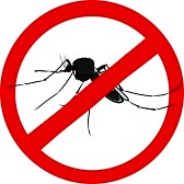 Avviso Disinfestazione mosche e zanzare 13 -14