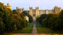 WINDSOR